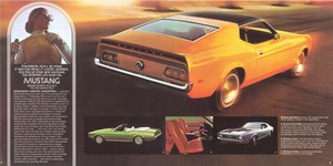 1971 Ford Sports Set-08-09.jpg